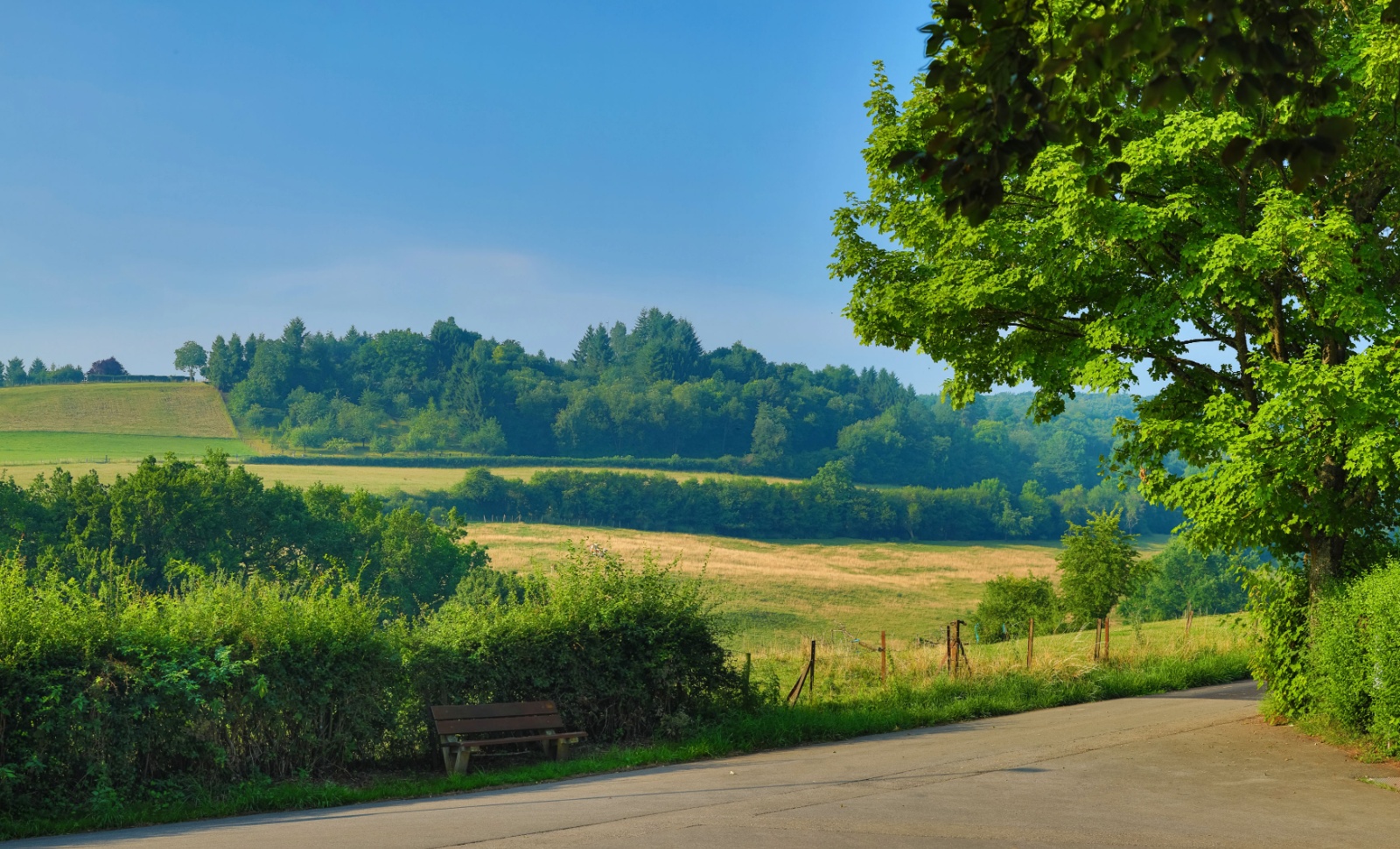Khaledfrikha photographe evenementiel nancy lorraine camping ettelbruck bd 2017  (102)195